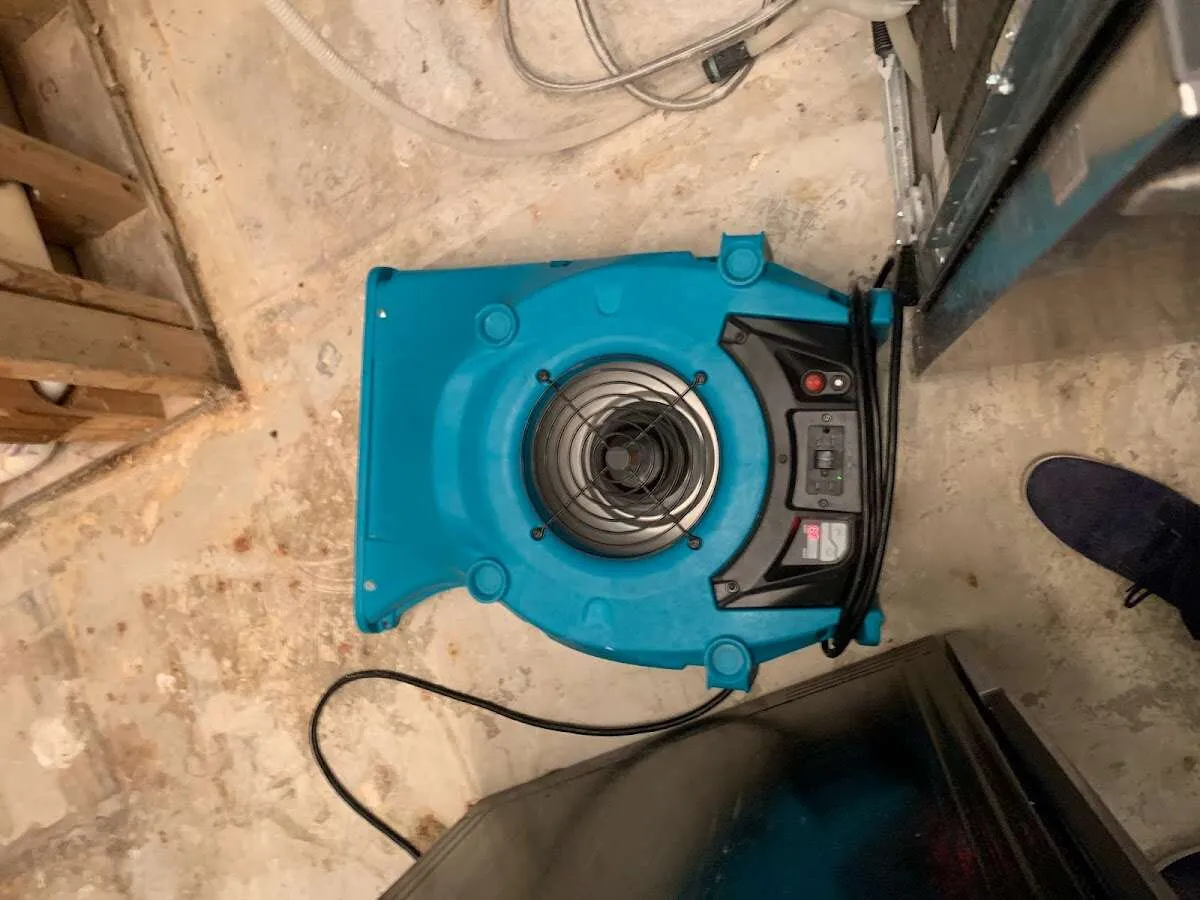 Air mover drying equipment for Mold Remediation & Removal in La Habra